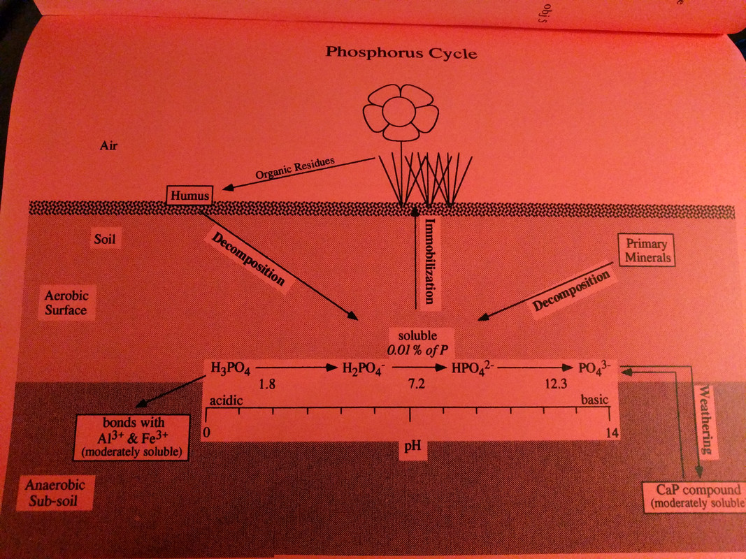 15246190994968836842084205102470