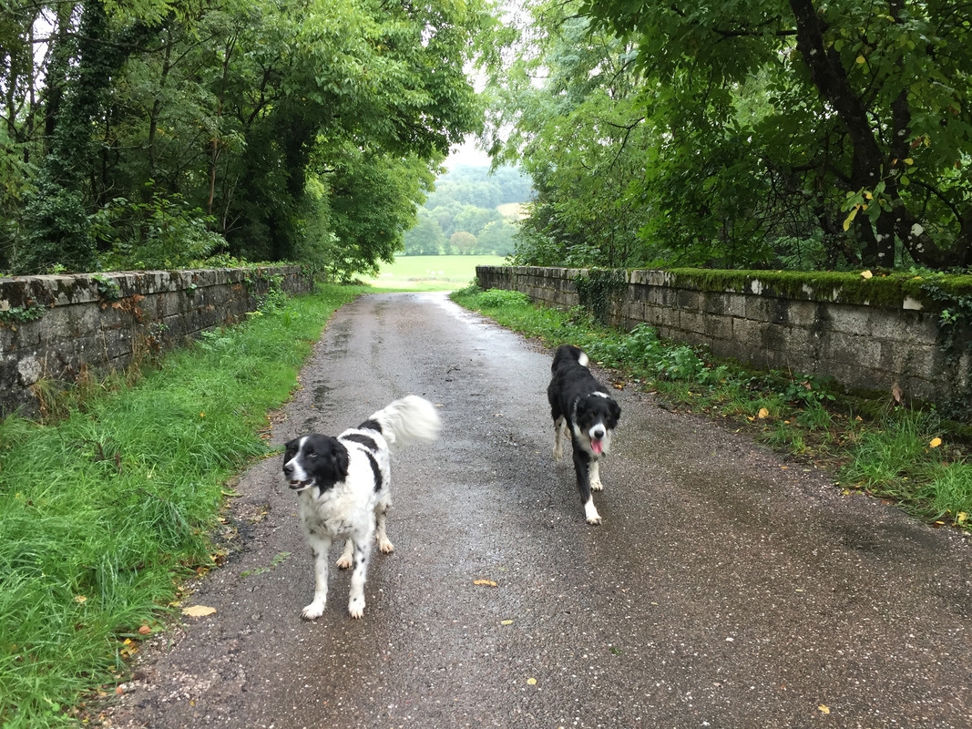 538CA76B-2BEC-4EB1-AFB0-B0AD0168947A