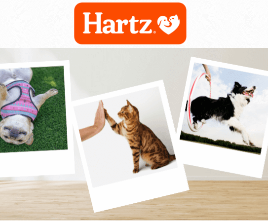 Unlock Exclusive Perks: Apply to be a Hartz Ambassador for Possible FREE Pet Samples & Products! Unlock Exclusive Perks: Apply to be a Hartz Ambassador for Possible FREE Pet Samples & Products!