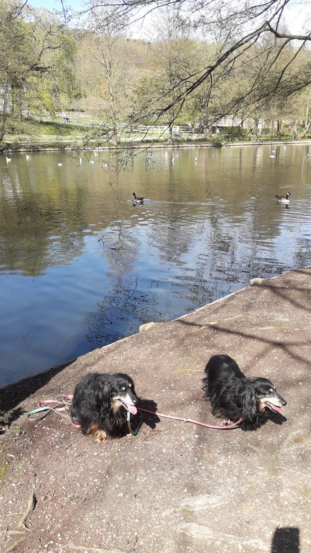 [Image: 20210418-154412.jpg]