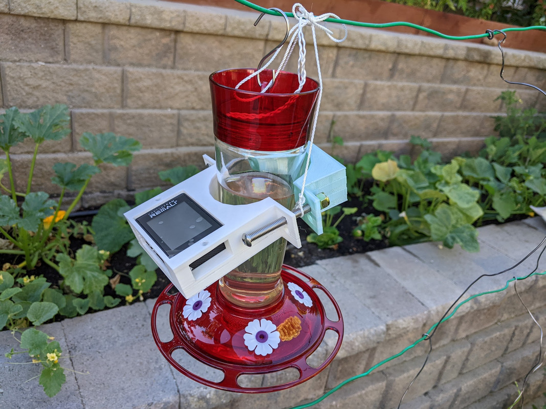 Hummingbird Feeder