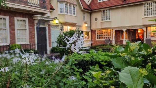 El secreto mejor guardado. Walt Disney World - Orlando octubre 2019 - Blogs de USA - EPCOT (27)