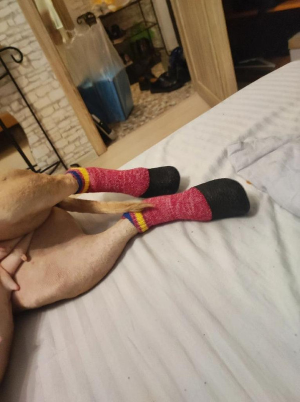 92400F65-A08D-45FE-995B-080EE599DF44