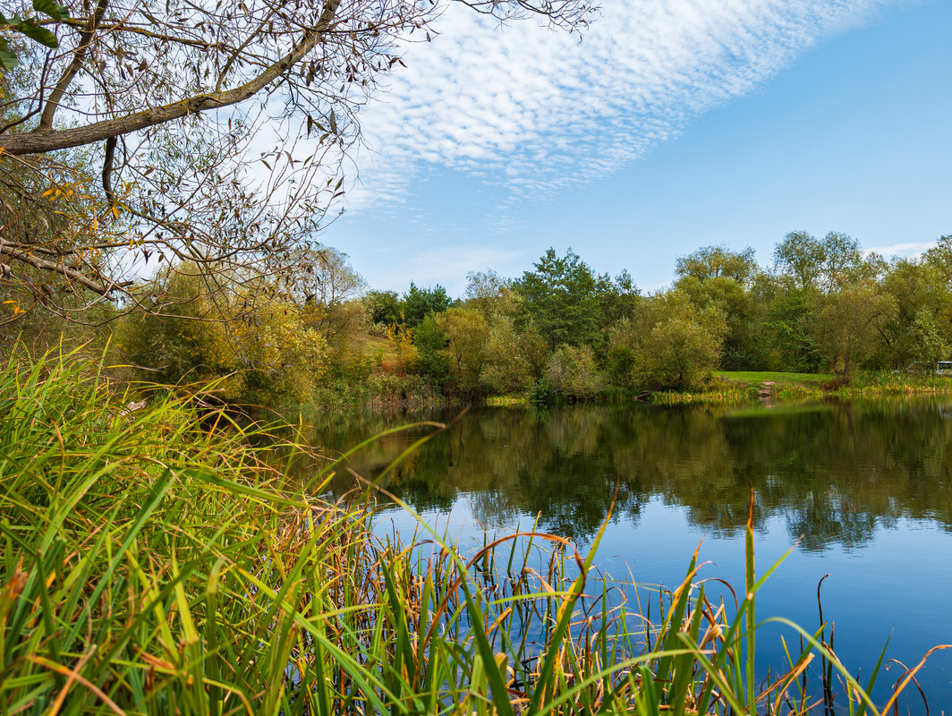 AGC20240928_102757281 (1) копія