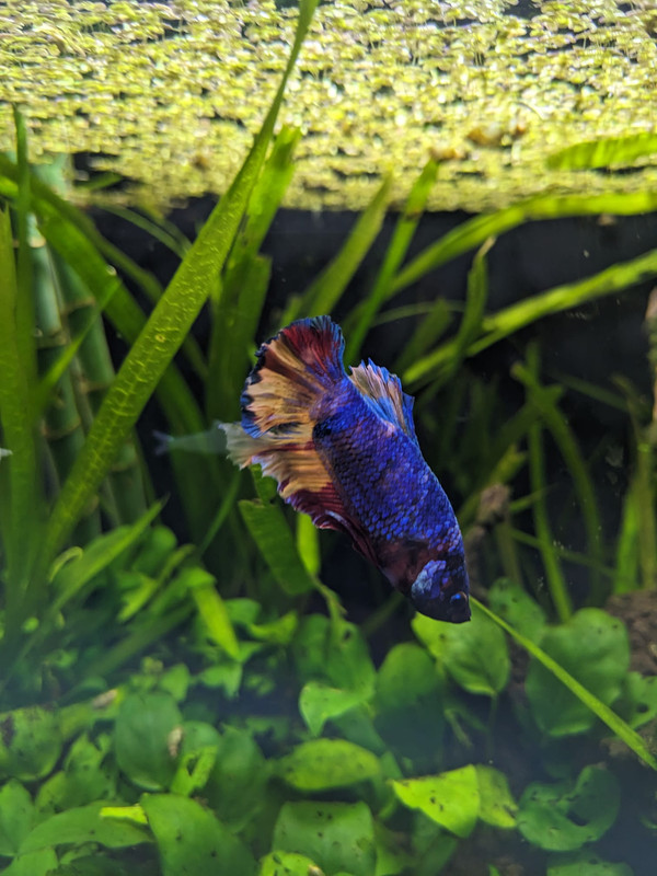 WhatsApp Image 2023-07-19 at 10.13.50 (2)