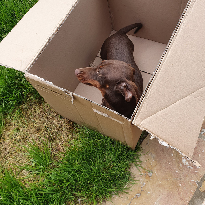 [Image: 20210521-121619.jpg]