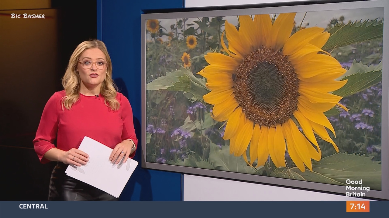 09.09 - 06.00.00 - Good Morning Britain. S2025 09 09 2025 Morning mag....ts_snapshot_00.09.36.523