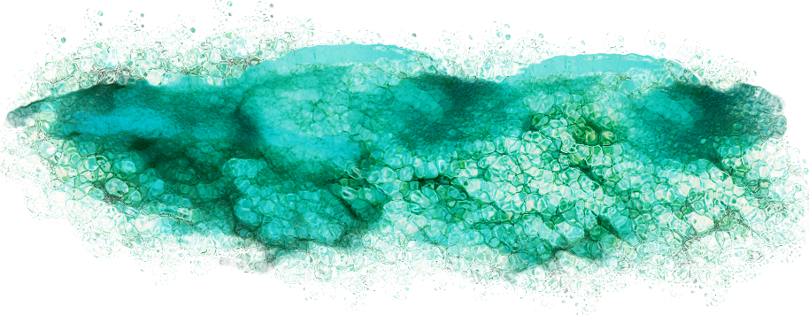 BIBI-UNDER THE SEA  ELEMS (33)