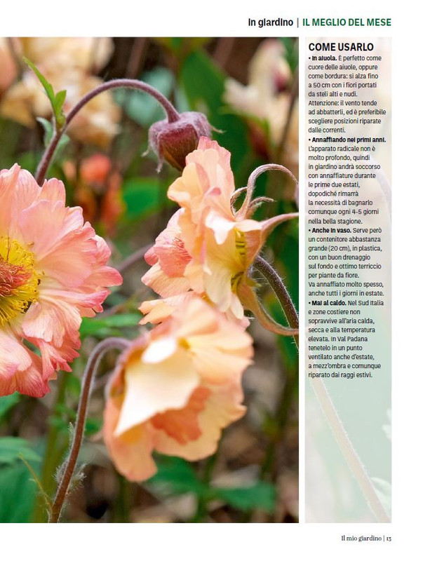 Il Mio Giar GIu-Lug 2024 (2)