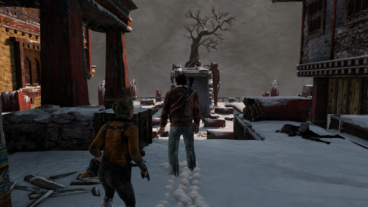 Uncharted 2  Among Thievesв„ў_1_3