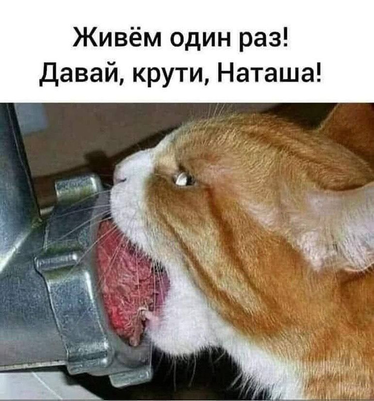 [Изображение: 69ee8946251a9d2bb3a9bf70d6593d61.jpg]