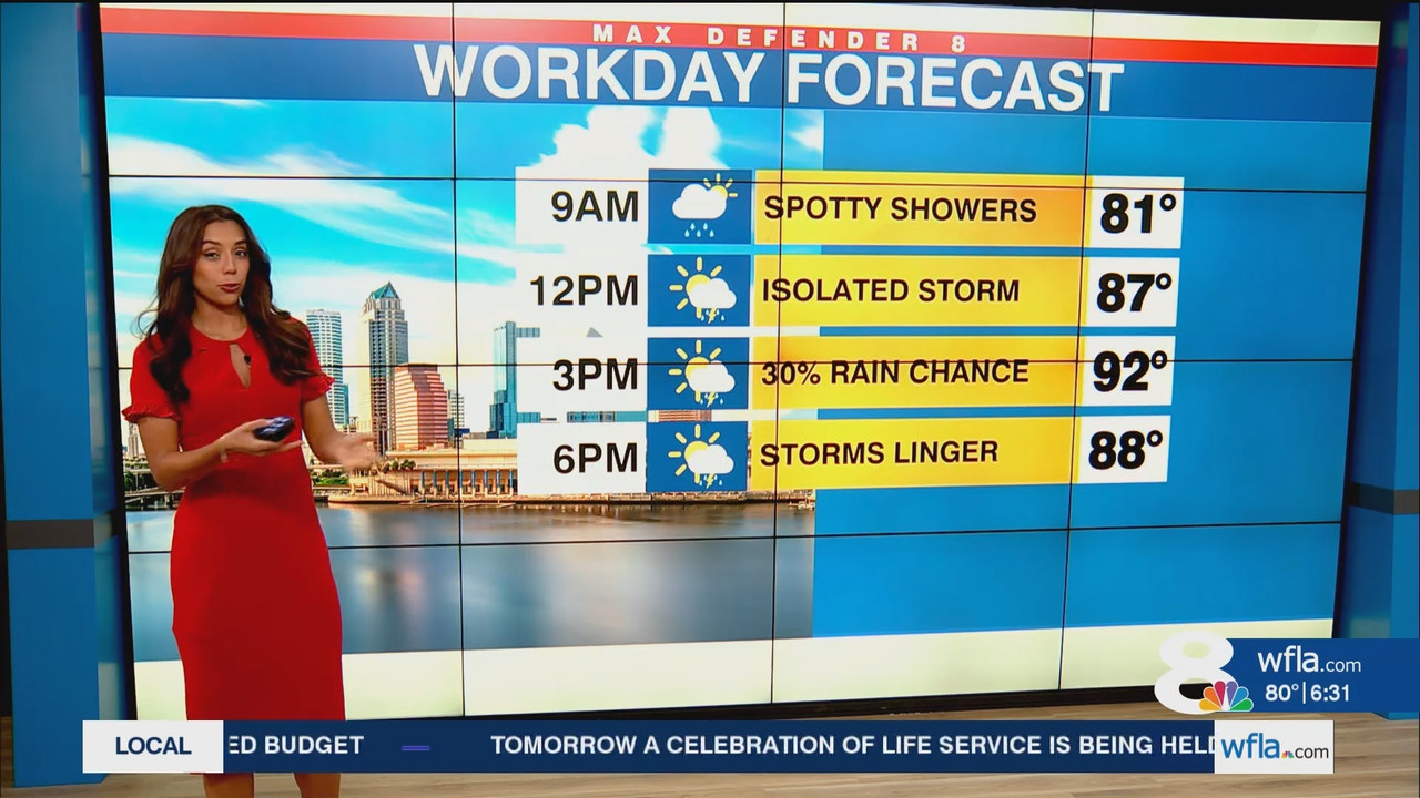 NewsChannel 8 Today at 6a_20250616_11001200.ts_snapshot_00.32.05.206