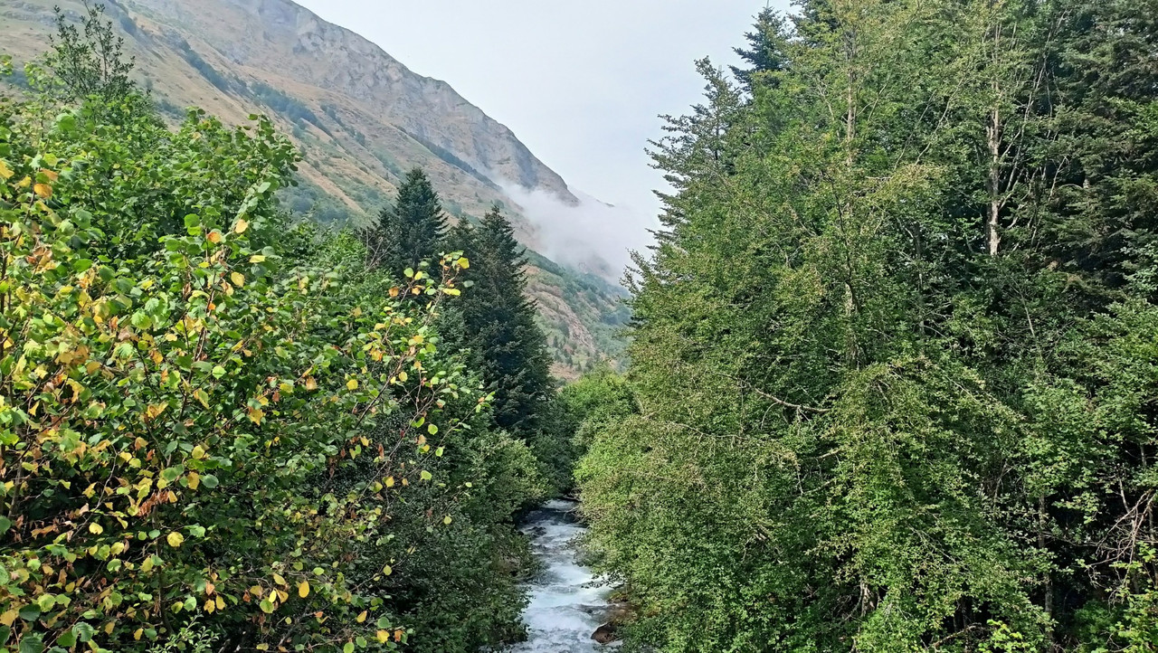 IMG20250818162810 (Large)