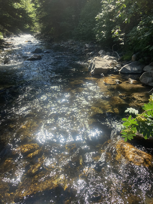 5F8D915D-6157-4243-AA27-8F28E8B44B3B