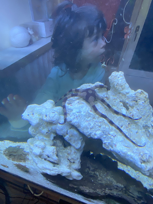 C1F2CBE1-95AC-4713-9174-8CE19D6E714E