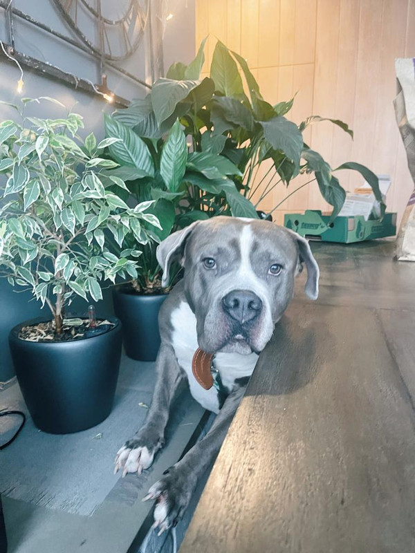 F24A3F4F-FBF9-4532-B48D-43BCBA96F955