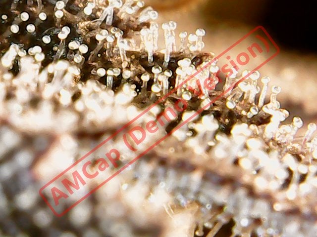 att fx0LXAHRk Wn0oi Ic S Dx Pu2e0p PCwe O0Ny Xk Kge Pk