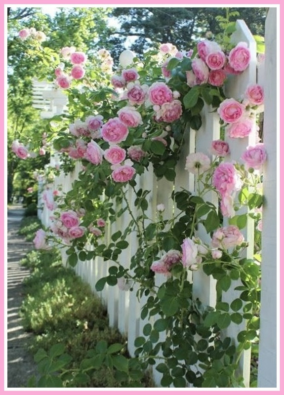 7FA97D5C-92C9-4849-A036-26CF996CDAAD