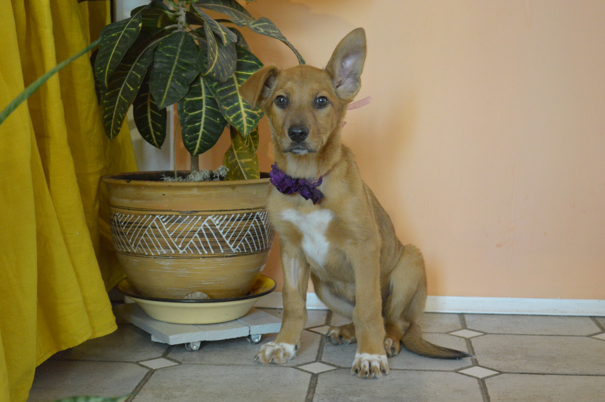 DSC_6888 — копия