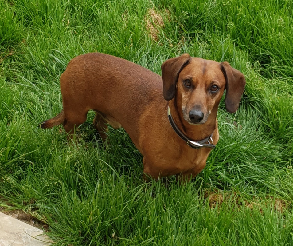 [Image: 20210525-170453.jpg]