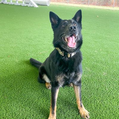 photo_preview_2733_615357b17431c