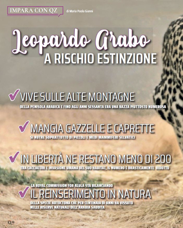 QuattroZampe Giu 2023 (1)