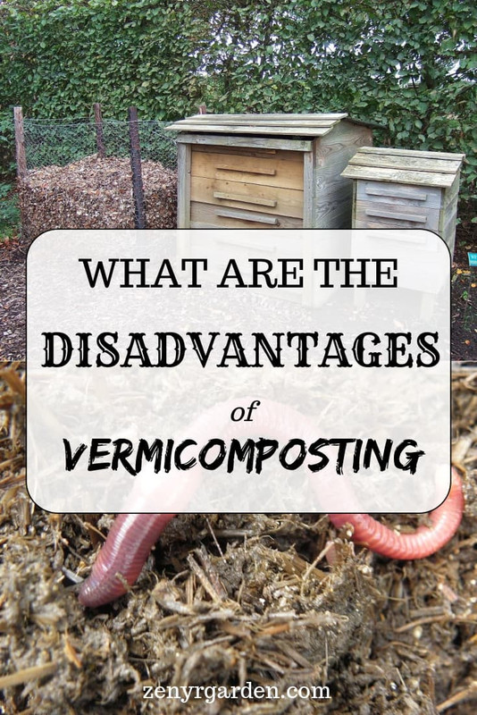 what-are-the-disadvantages-of-vermicomposting-pin.jpg
