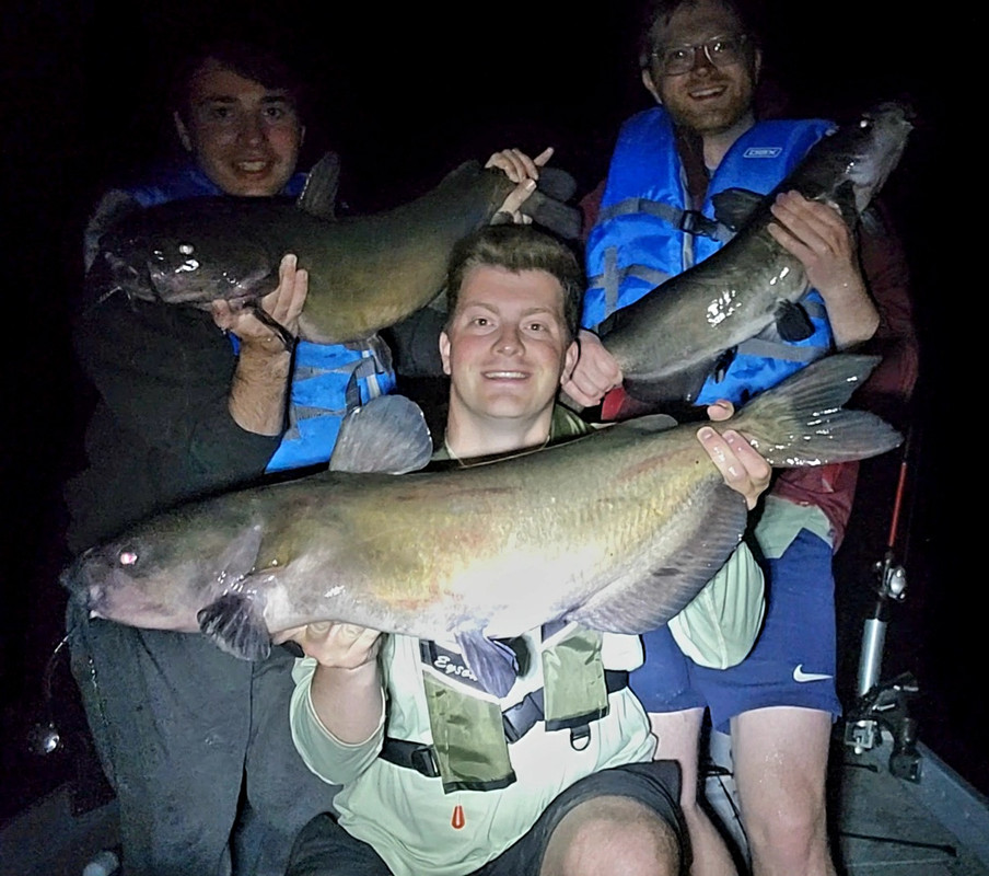 Screenshot_20240526_024556_Gallery