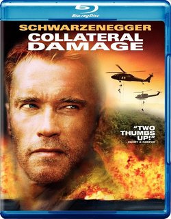 Danni collaterali (2002) .mkv FullHD 1080p HEVC x265 AC3 ITA-ENG