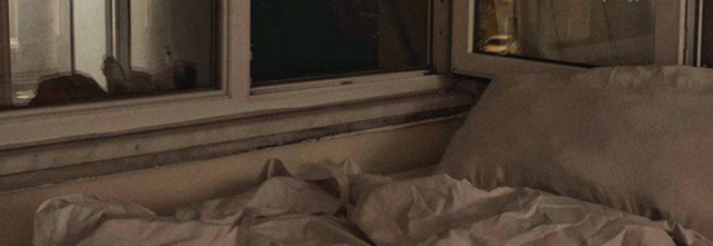 Untitled349_20240222222007
