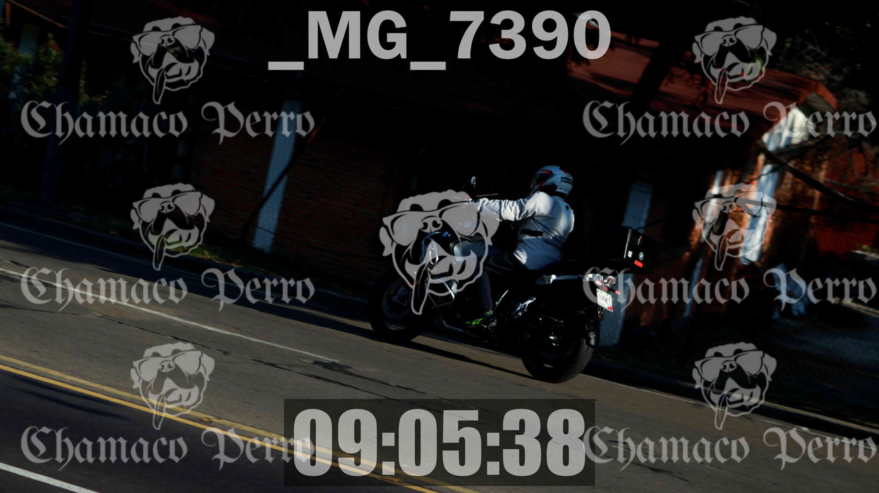 MUESTRA MG 7390 — Postimages