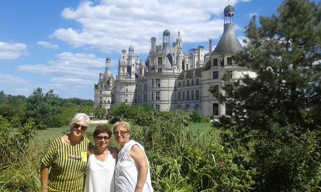 CASTILLOS DEL LOIRA - Paris con excursiones (14)