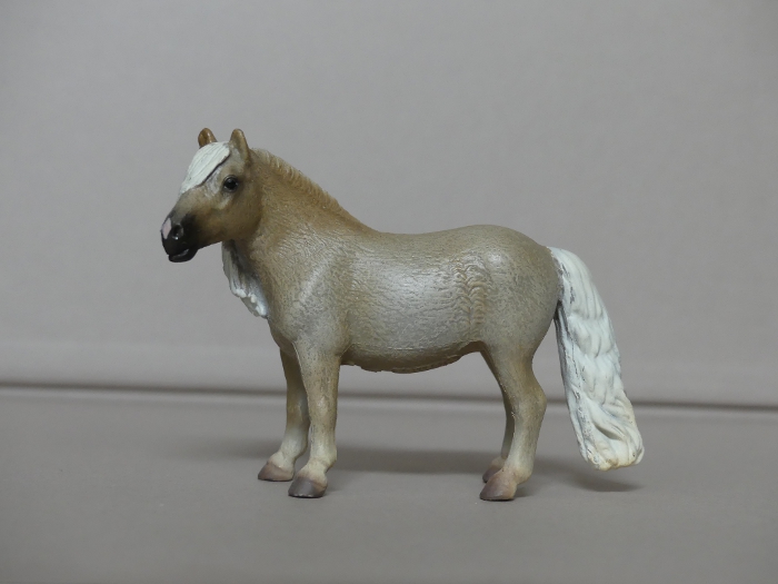 Pictures for Toy Animal Wiki - Page 14 Falabella