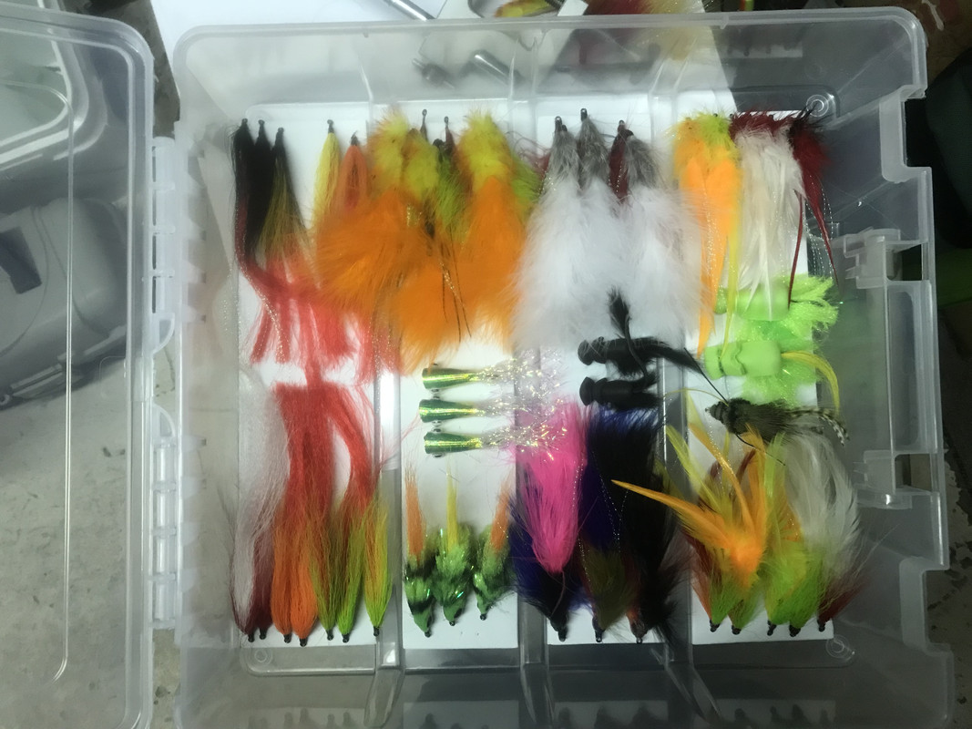 ACB544D9-59C6-4671-A4B8-57056774C861