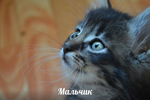 CEA646ED-3F25-4ECD-9B21-207EE4DF7A7A