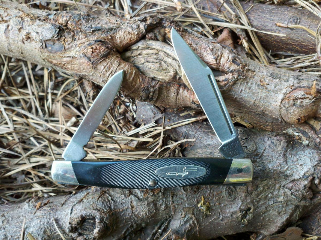 Buck_309_Companion_-_circa_1980.jpg