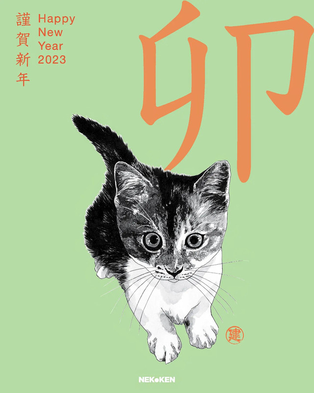 06