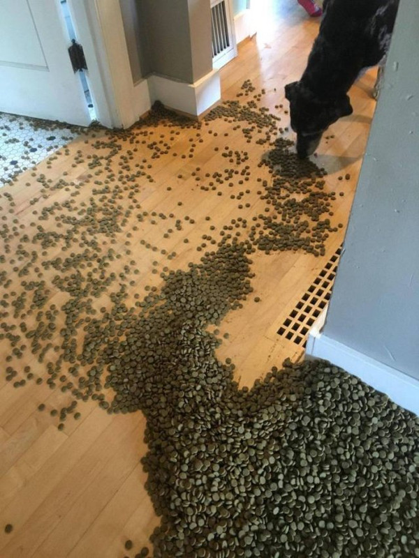 Unlucky-20