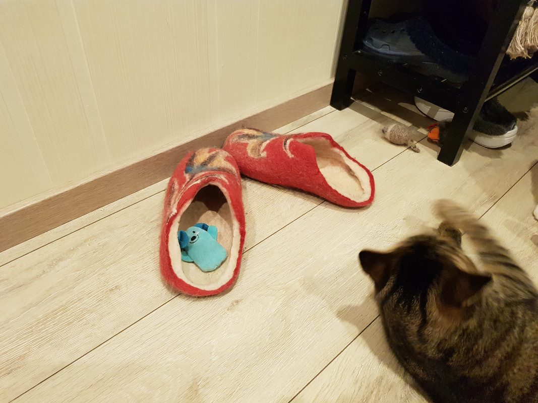 20191219-224837.jpg