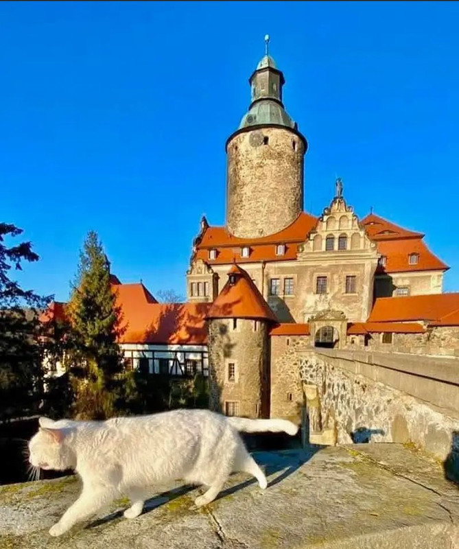 Screenshot_20250930-085822~2