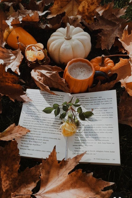 Screenshot_20231015_204953_Pinterest