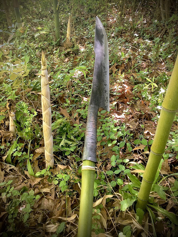 25191E97-D800-4EE0-B633-D989A85439DC