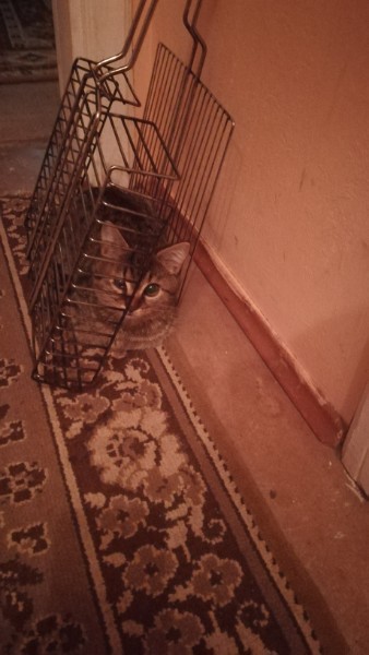 Мишель_19_10_2