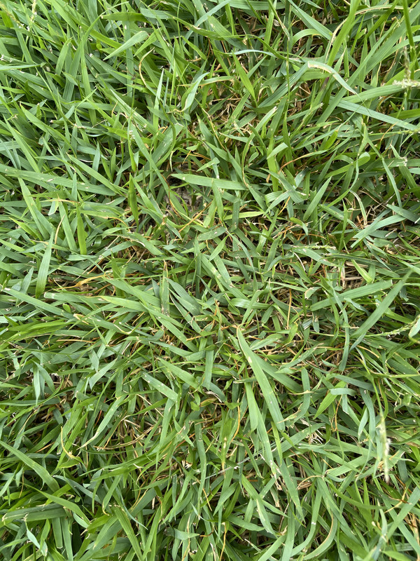 D5BA6BC7-2D60-42FE-B3A6-EF27E0203C08