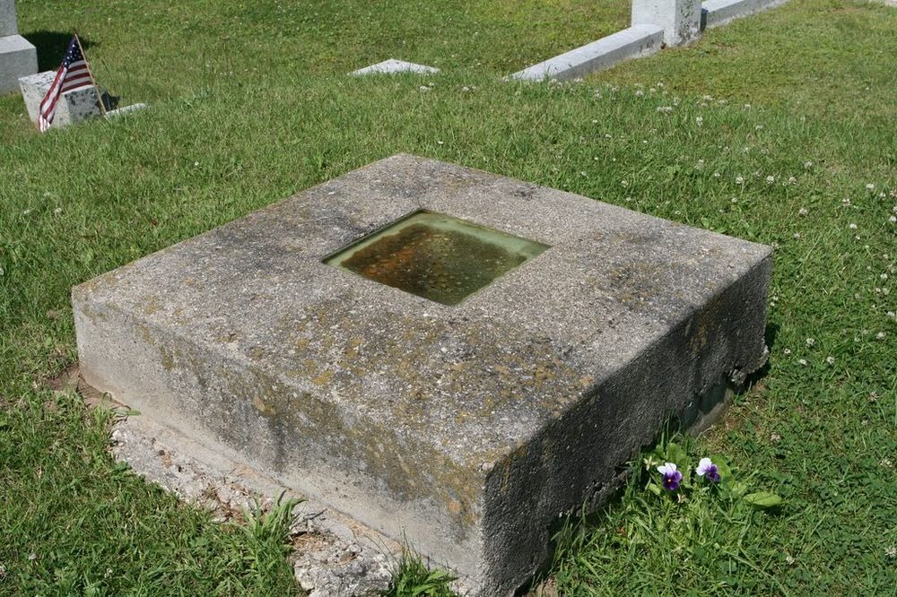 image.jpg