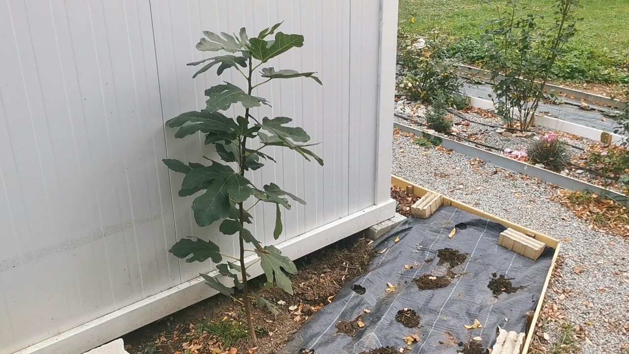 VID_20231102_125401 - frame at 1m30s