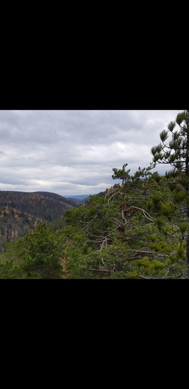 Screenshot_20221017-043157_WhatsApp