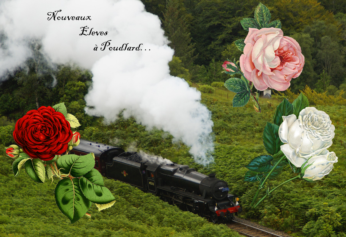 Nouveaux éleves à p (2)