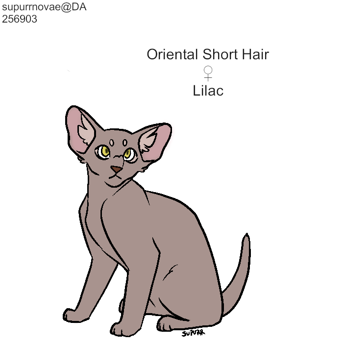 Lilac-OSH.png