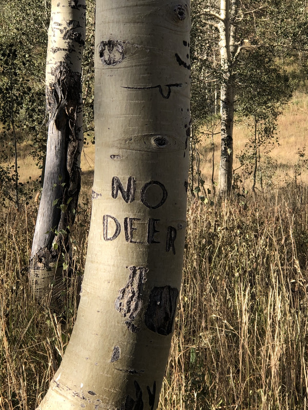 77D150DA-6A7E-4801-BE83-CF8DEB140A61